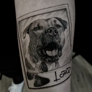 Obrázek tetování 10